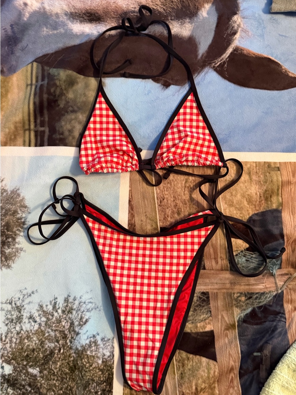 Frankie’s Bikini Cherry Picnic Swimsuit Set